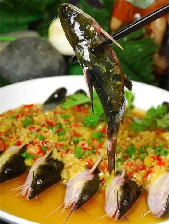 老百姓最愛的春鮮第一魚，應季河鮮首選它！