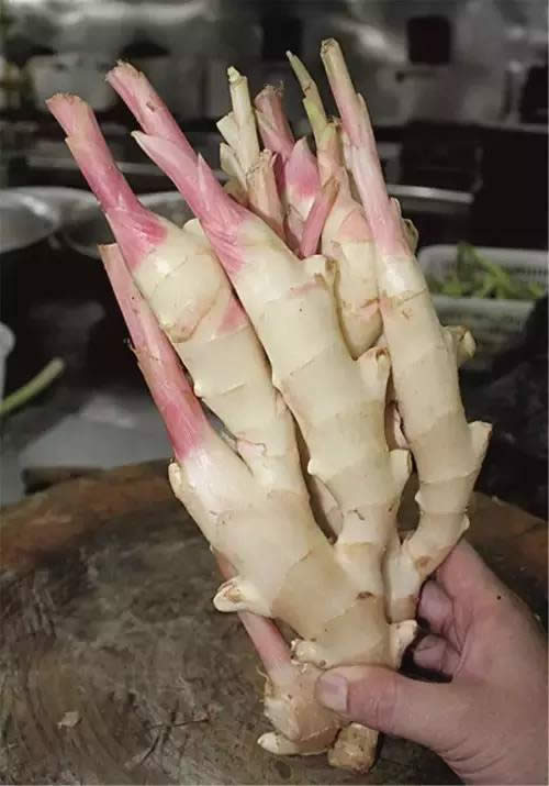 【創新菜】嫩姜青蔥蒸筍殼魚