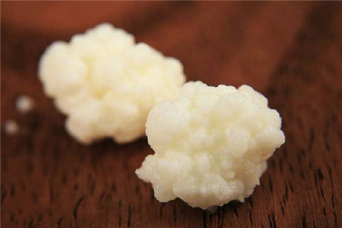 這兩種同樣名為“雪菌”的食材，你都見過嗎？