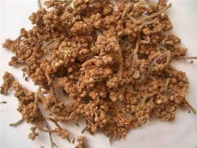 這種潤肺化痰的食材，粵式老火湯最適用！