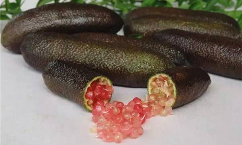【指橙】擁有香腸外表的水果魚子醬，你見過嗎？