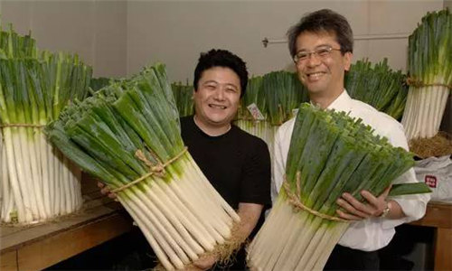最貴的大蔥：日本也有好大蔥
