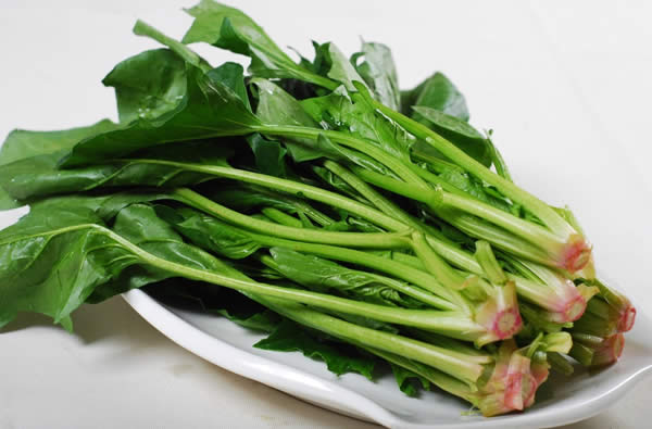 【菠菜】菠菜里的寶，你們知多少？——菠菜