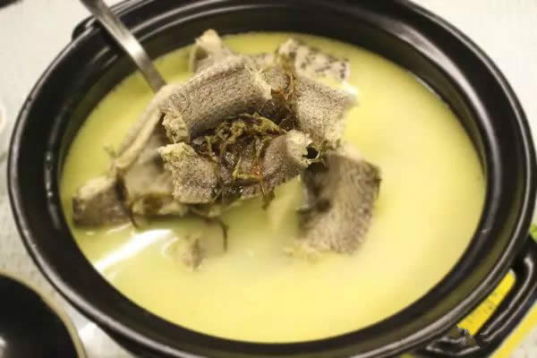 【金線蓮】“吃草”吃得多了，“神草”你吃過沒？