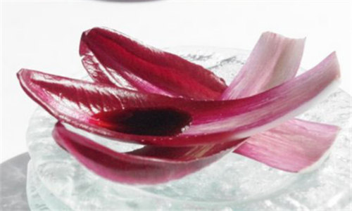【菊苣】你好，我是蔬菜王子！