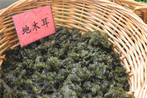 春季時令蔬菜大全，請趕緊嘗鮮！
