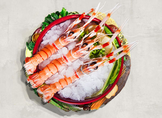 【南極螯蝦】來自深海的奢侈食材——南極深海螯蝦
