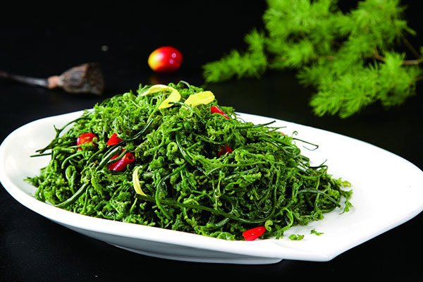 【云龍菜】山野菜之王——云龍菜的營養價值