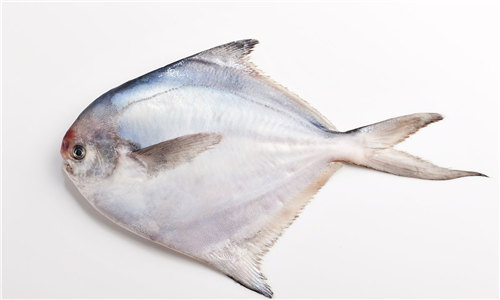 【斗倉魚】江湖地位極高的粵式野生食材