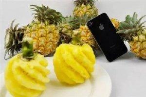 開眼界了，這些食材顛覆了廚師們的認知！