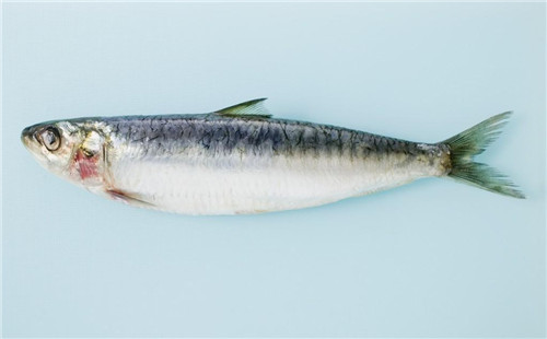 16種春季時(shí)令魚，你做過(guò)多少種？