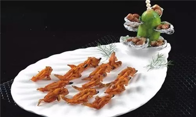 紅玫瑰很常見，可紅玫瑰魚你有見過嗎？
