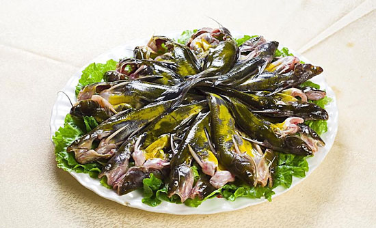 黃顙魚的營(yíng)養(yǎng)價(jià)值