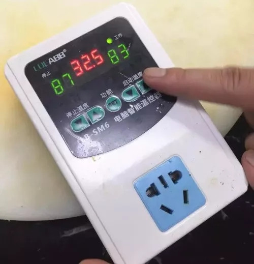 這些頗花心思的潮汕菜，你會做多少道？