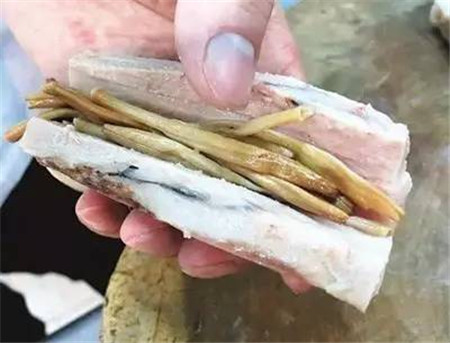 健腦食材首選它，低價又美味！