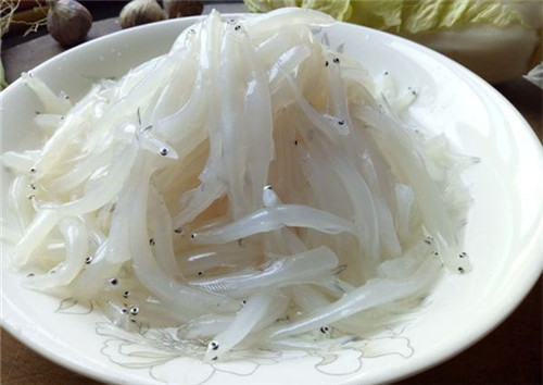 長不過三厘米，這種魚卻有“魚類人參”的美稱！