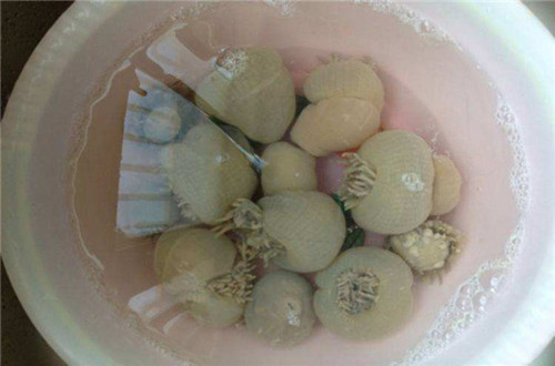 沙蒜不是蒜，男人吃了一個比一個厲害！