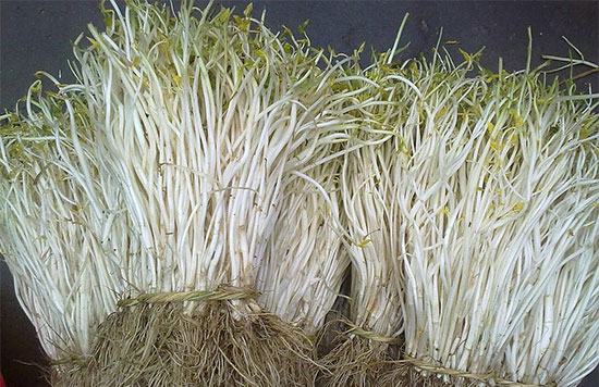 【白芹】溧陽“三白”之一——白芹的吃法
