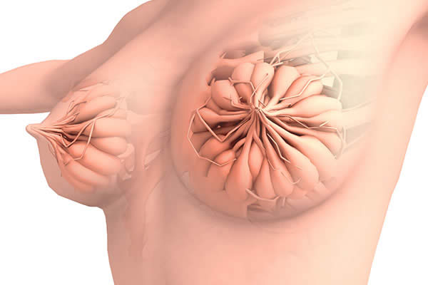 乳腺增生癥狀 乳腺增生的病因
