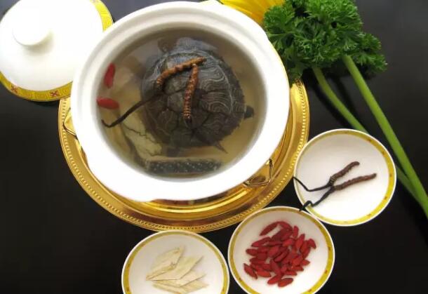 【藥膳】蟲(chóng)草釣金龜.jpg