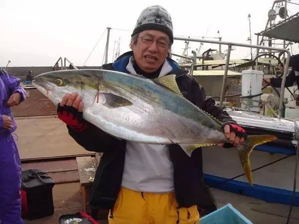 鰤魚，沖擊靈魂的頂級食材