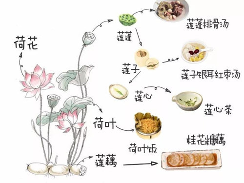 夏季制作時令菜，怎能少了它？