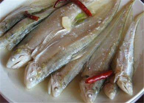推薦五種時令魚，任一種都是最頂級的鮮美！