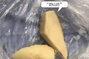 這種所謂的“土淮山”，毒性很強！