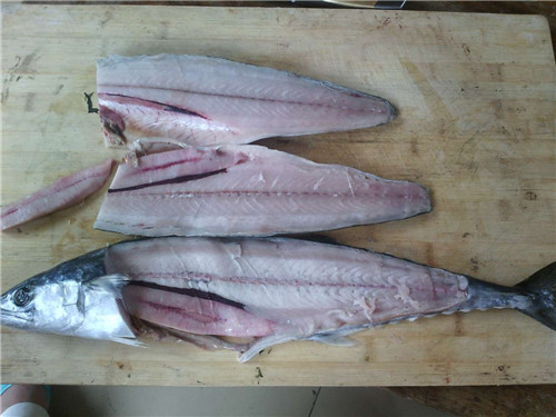 【鲅魚】山有鷓鴣獐，海里馬鮫鯧