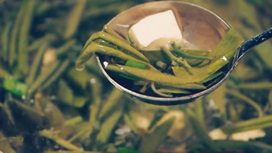 【莼菜】珍貴的野生水生蔬菜——莼菜
