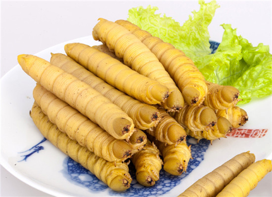 原來豆蟲的營養賽人參，難怪賣得比肉還貴！