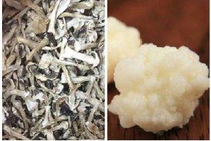 這兩種同樣名為“雪菌”的食材，你都見過嗎？
