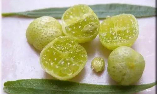 【指橙】擁有香腸外表的水果魚子醬，你見過嗎？