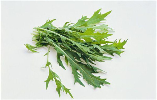 綠葉蔬菜里的戰斗機——火箭生菜