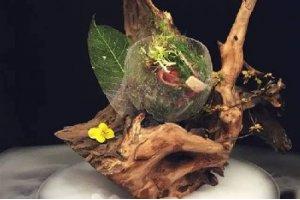 完美沙拉公式