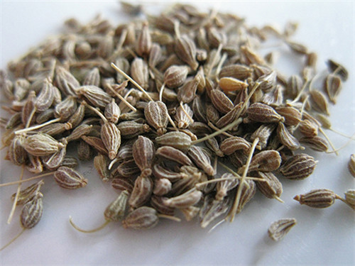 六種獨具特色的香料，風味各異，用途廣泛！