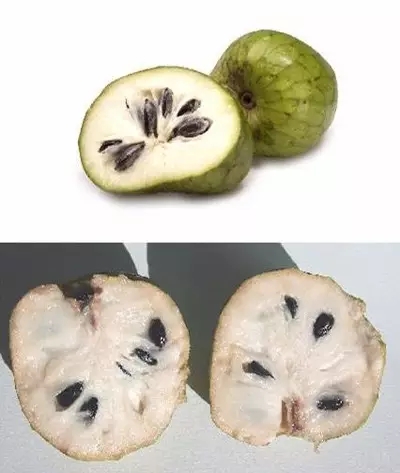28種奇異果子，認(rèn)識(shí)一半算你牛X！
