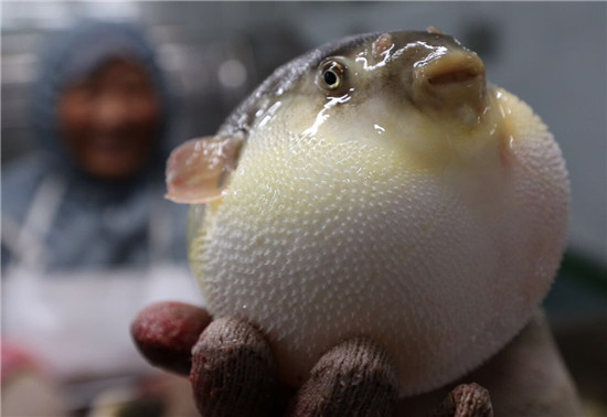 為何明知這種魚有毒，還有那么多人去嘗鮮？