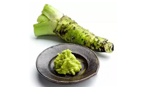 【山葵】世界最貴蔬菜之一，一斤賣八百！