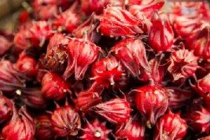 這是茄子？還是玫瑰？