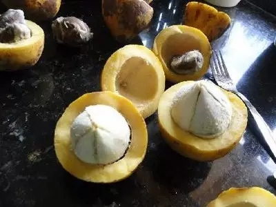 28種奇異果子，認(rèn)識(shí)一半算你牛X！