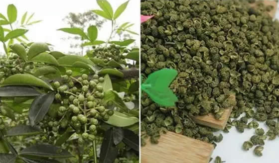 17種川菜用的特殊香料，你都見過嗎？