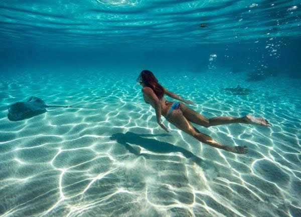 【水產】 鰩、鲼、魟分別是什么魚？跟老板魚又有什么關系？