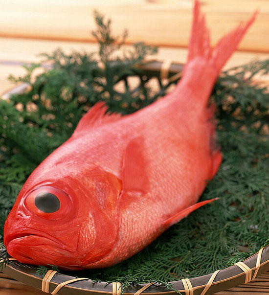 【金目鯛】鮮美的深海紅色吉祥魚——金目鯛