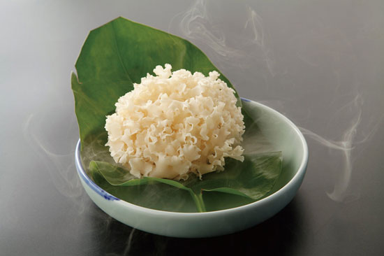 【繡球菌】愛陽光的萬菇之王——繡球菌