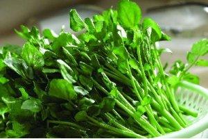 原來廣東人都愛吃的西洋菜是這樣來的！