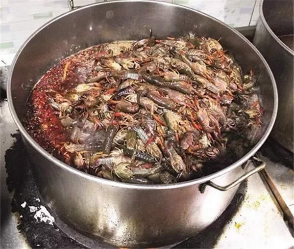 【創新菜】鹵煮龍蝦