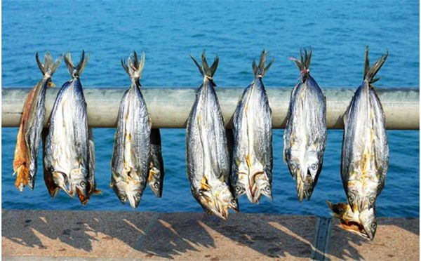 你的餐館正缺一道馬鮫魚！