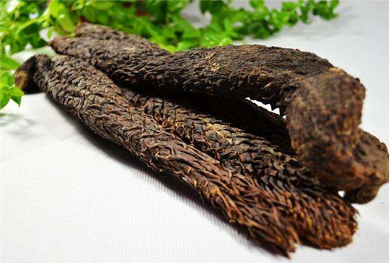這種被譽為“沙漠人參”的食材，很少人見過