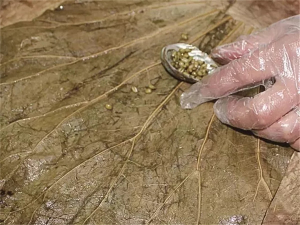 【年菜】迎春接福（荷葉蒸粽子鮑魚）